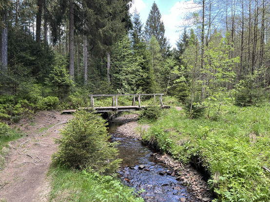 Kleiner Bachlauf im Wald mit Holzbrücke