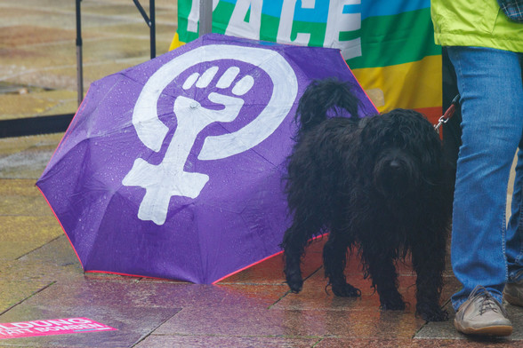 Rechtsseitig im Bild ein zotteliger schwarzer Hund bei Regenwetter, linksseitig ein lila Regenschirm mit einer auf dem Schirm gemalten weißen Feminismus Faust 